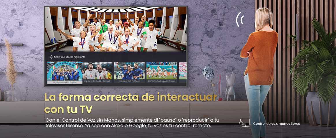 12 Hands Free Voice Control