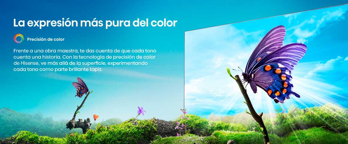 2 2 Precision Colour