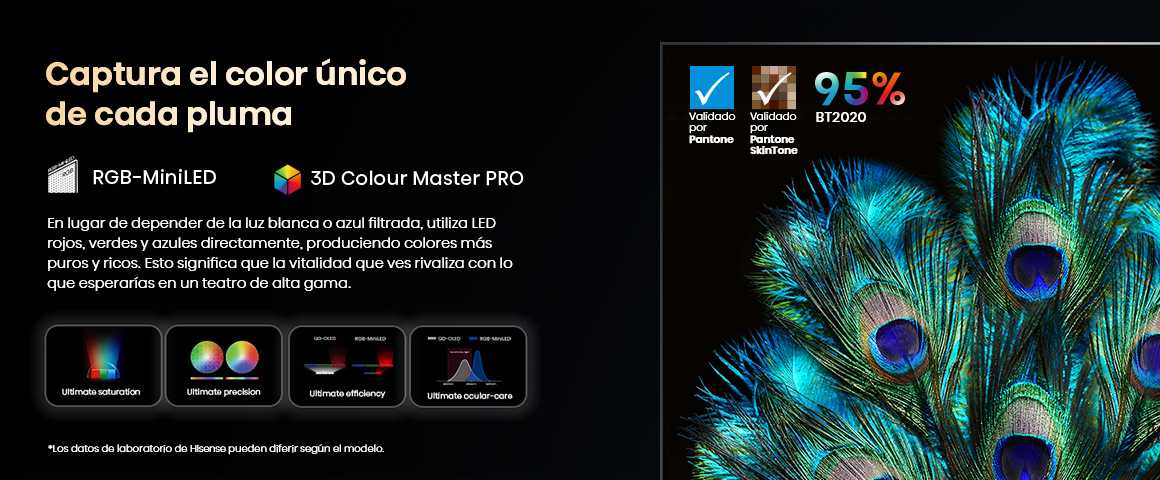 5.3 D Colour Master Pro