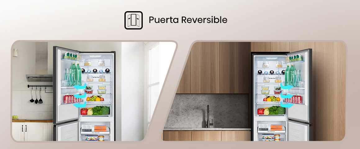 2.10 Reversible Door