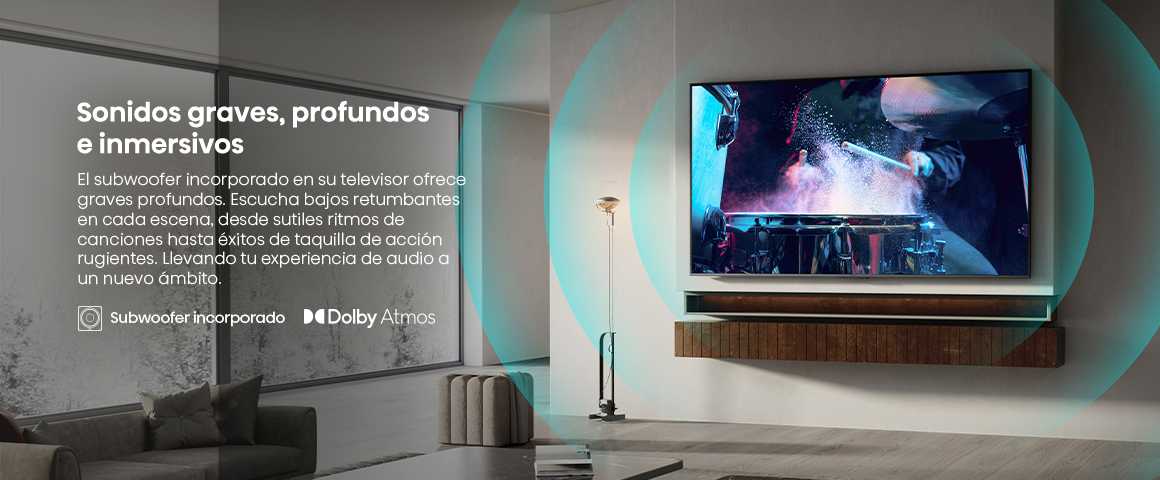 3 2 Built in Subwoofer 