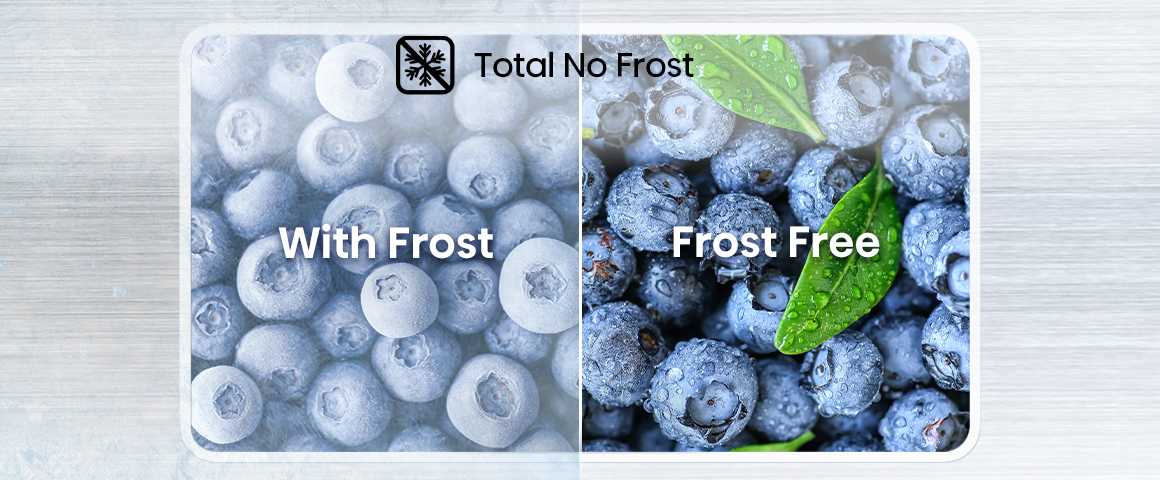 3 11 Total No Frost